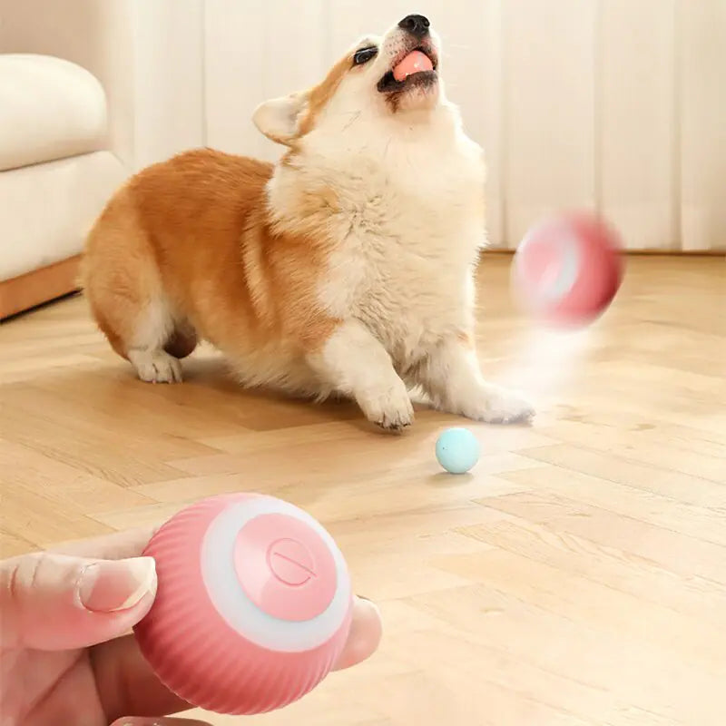 Electric Smart Auto Rolling Puppy Ball