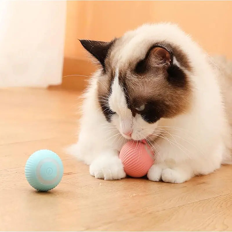 Electric Smart Auto Rolling Puppy Ball